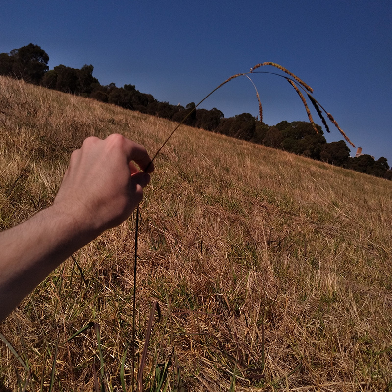 Photograph of Circular Grass Field